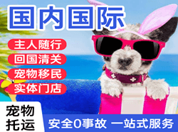 扎兰屯成吉思汗空运地址国际宠物托运 【国
